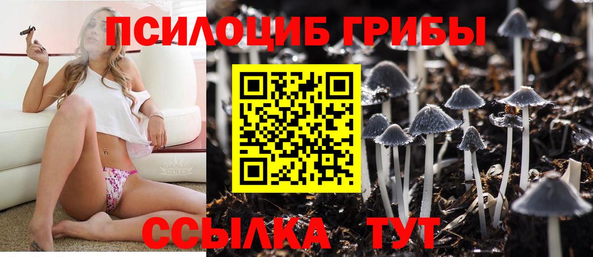 Сунжа  Галлюциногенные грибы мицелий  Вход с VPN  Галлюциногенные грибы MAGIC MUSHROOMS 